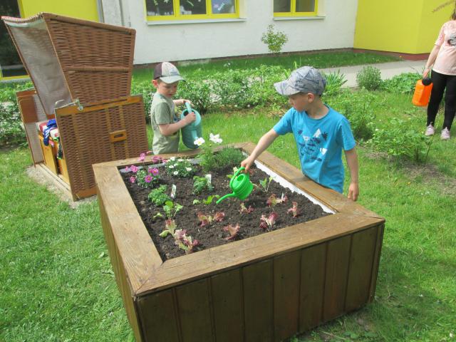 Bild
