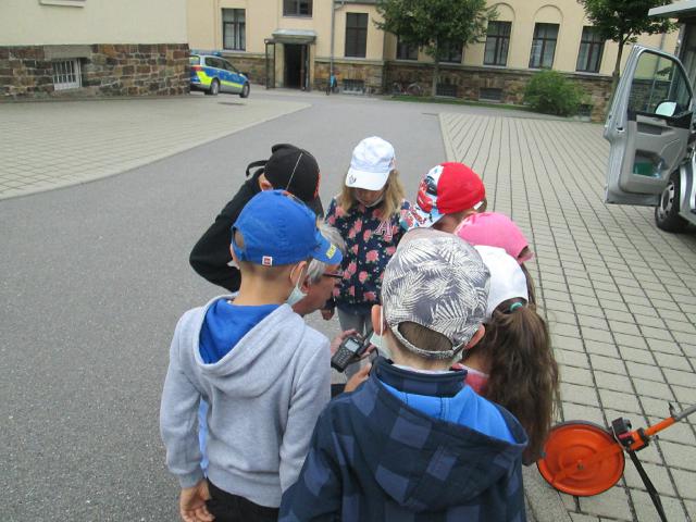 Bild