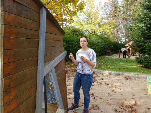 Bild
