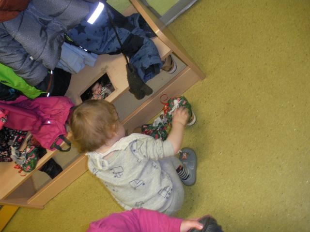 Bild